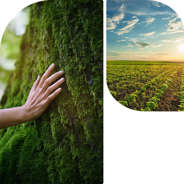 İnovasyonla Beslenen Temiz Gıda Anlayışı